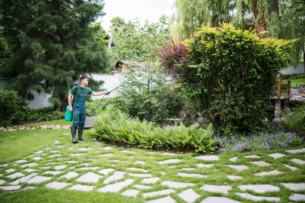 Best Commercial Tree Services  in Locust Grove, OK