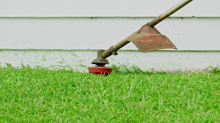Best Utility Line Clearance  in Locust Grove, OK