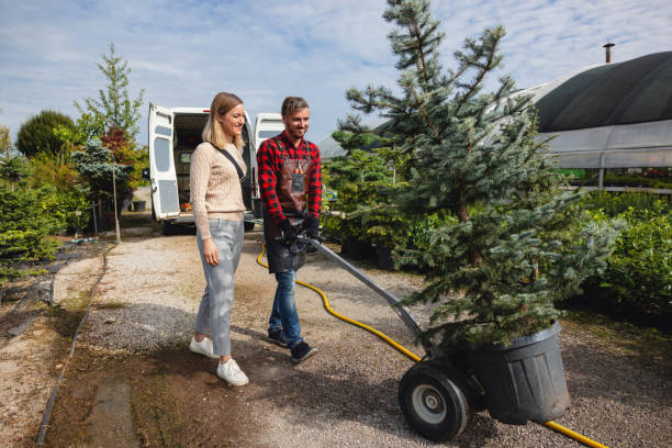 Best Tree Disease Treatment  in Locust Grove, OK